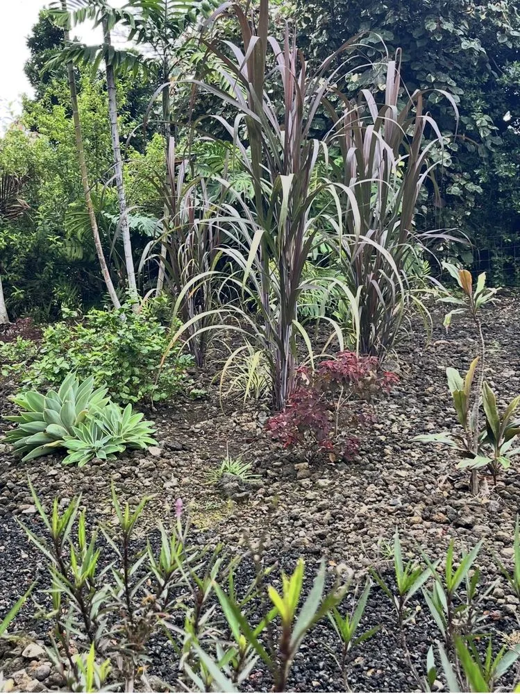 Affordable garden landscaping for residential properties in Holualoa, HI by Love It Landscapes