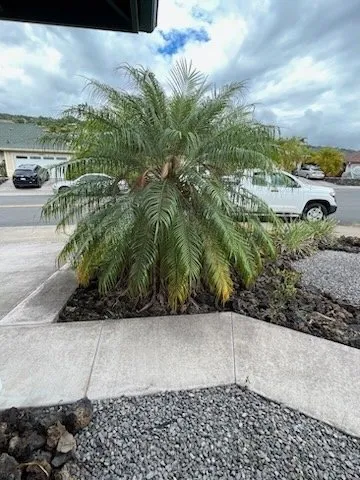 Affordable outdoor landscaping in Holualoa, HI by Love It Landscapes