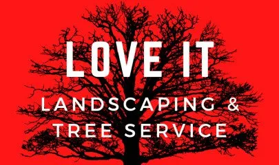 Top-rated landscape installation in Mount Juliet, TN - Love It Landscaping & Tree Service
