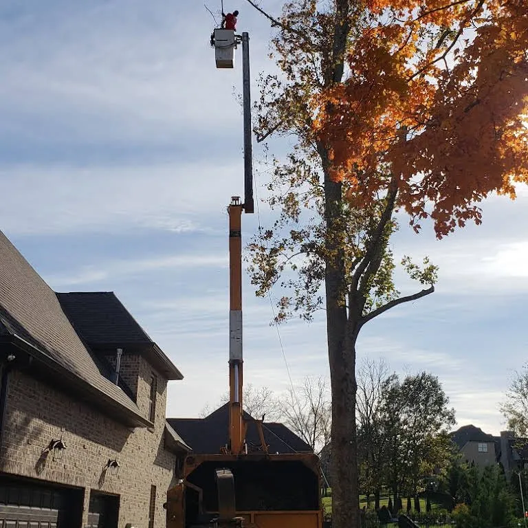 Professional residential landscaping experts serving Mount Juliet, TN - Love It Landscaping & Tree Service