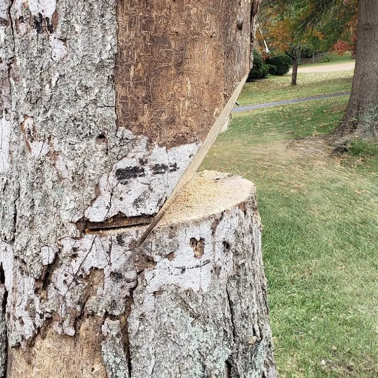 Custom landscaping services for residential properties in Mount Juliet, TN by Love It Landscaping & Tree Service