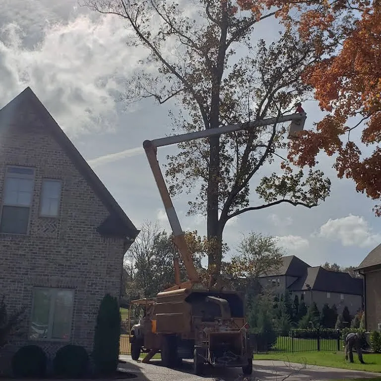 Expert residential landscaping experts serving Mount Juliet, TN - Love It Landscaping & Tree Service