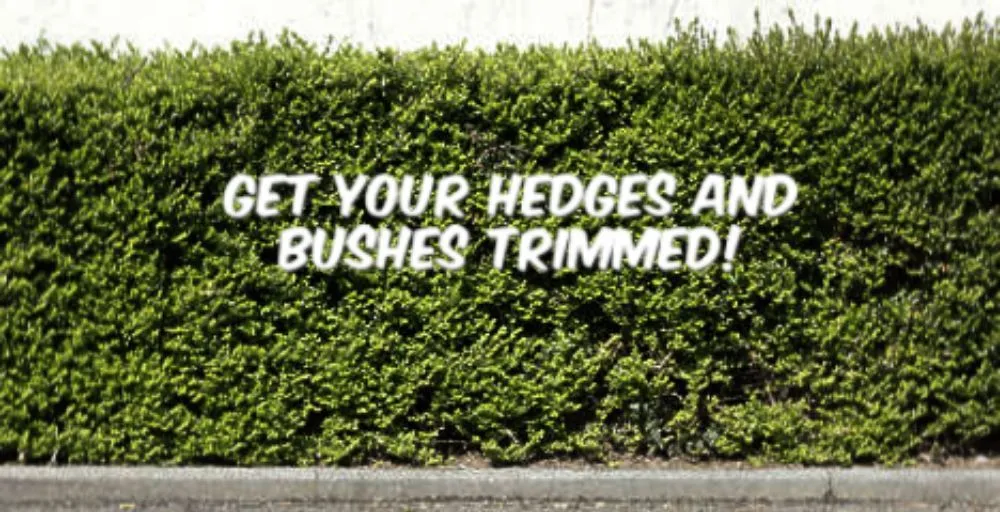 Custom landscape design in Butte, MT - Love it Lawn Care