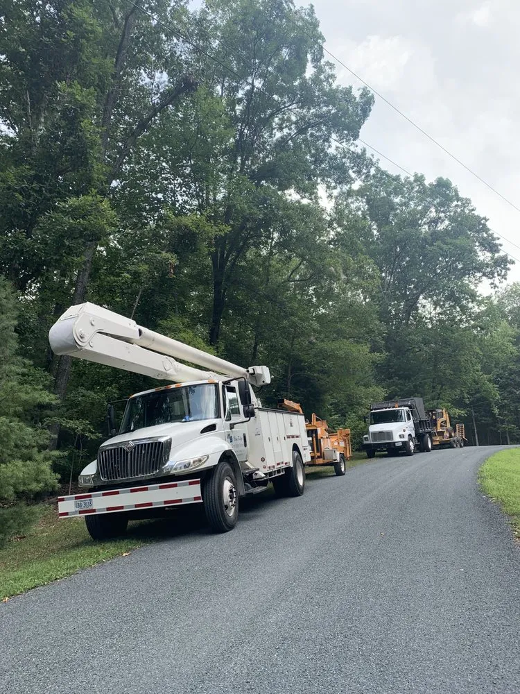 Custom yard cleanup service experts serving Lyndhurst, VA - Love Mtn Treescape Services