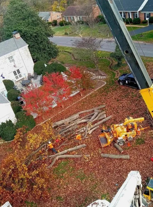 Local lawn care service experts serving Lyndhurst, VA - Love Mtn Treescape Services