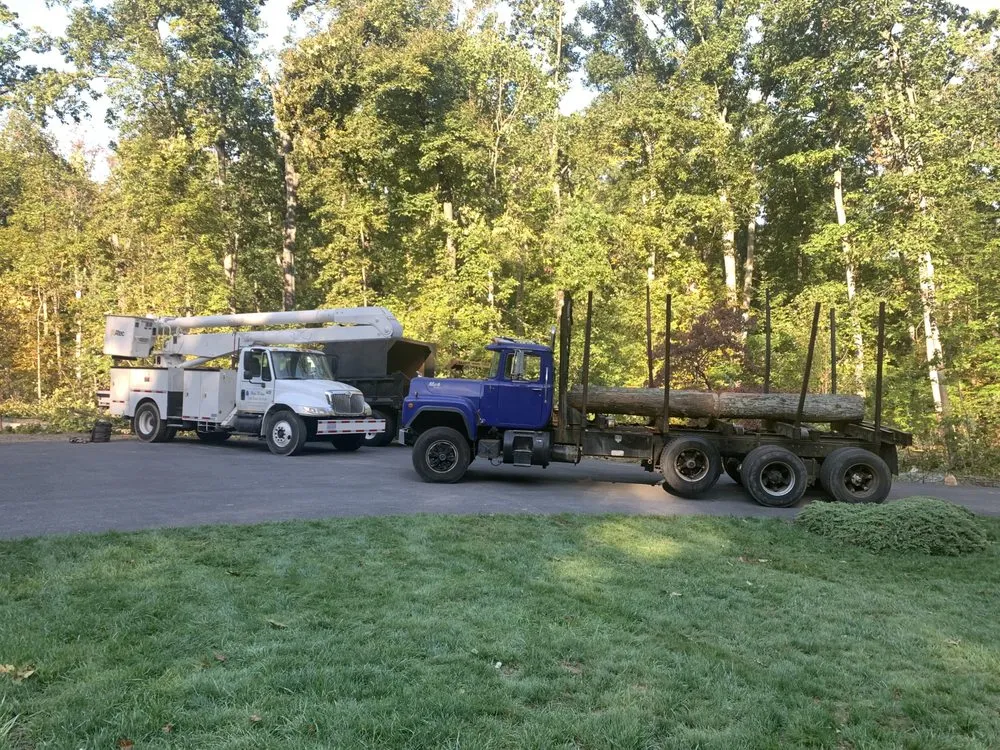 Top-rated outdoor landscaping for outdoor upgrades in Lyndhurst, VA by Love Mtn Treescape Services