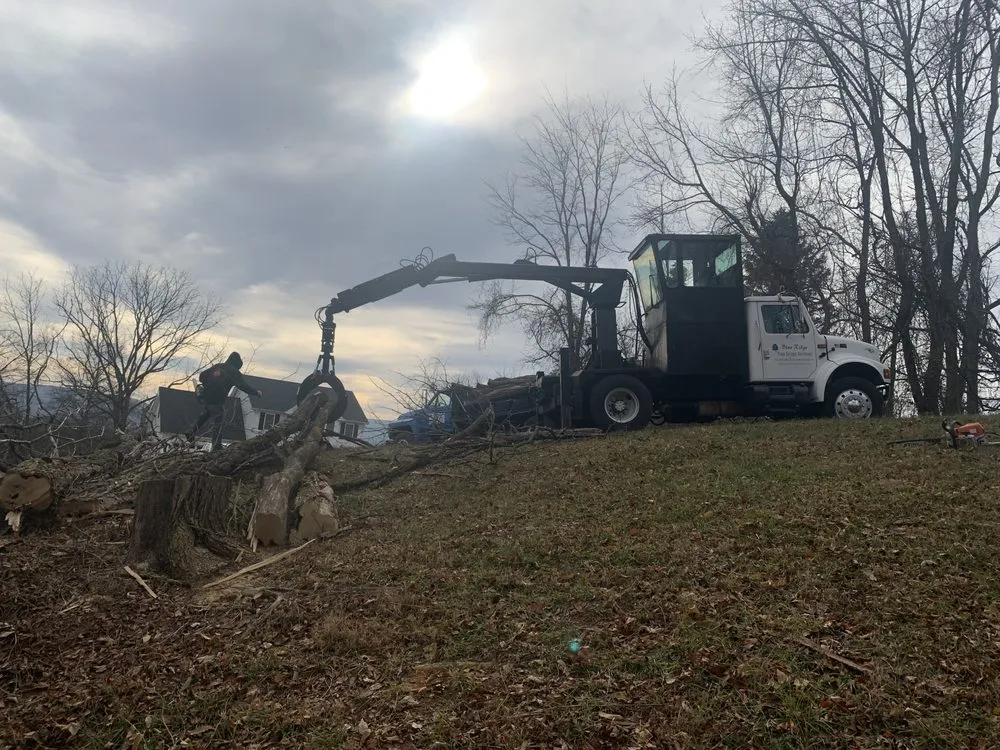 Custom landscaping services in Lyndhurst, VA by Love Mtn Treescape Services