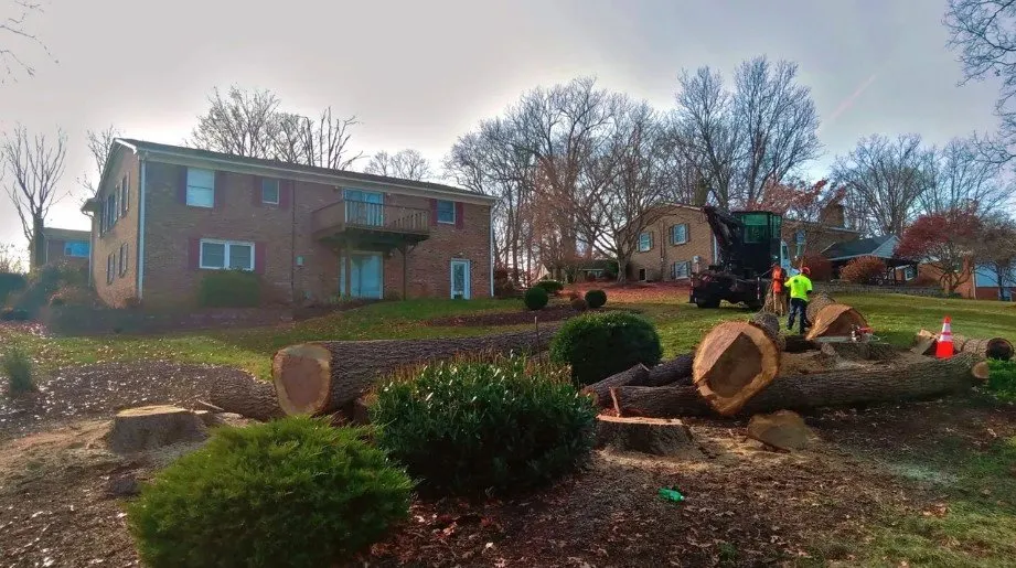 Reliable landscape installation experts serving Lyndhurst, VA - Love Mtn Treescape Services