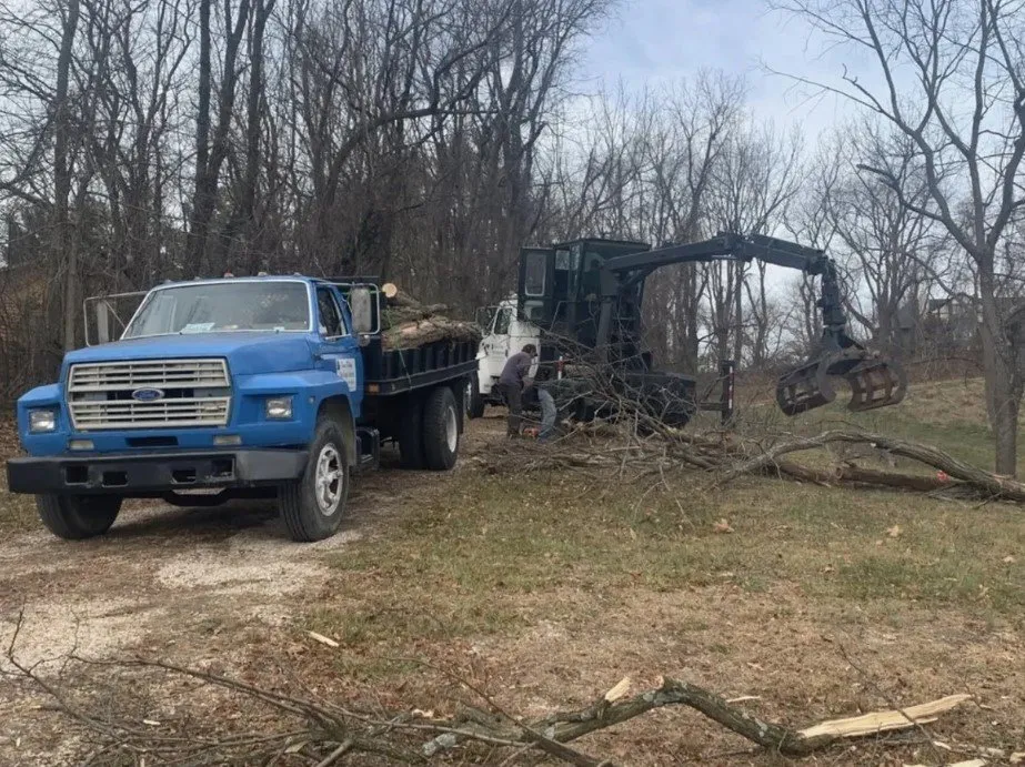 Expert residential landscaping in Lyndhurst, VA - Love Mtn Treescape Services