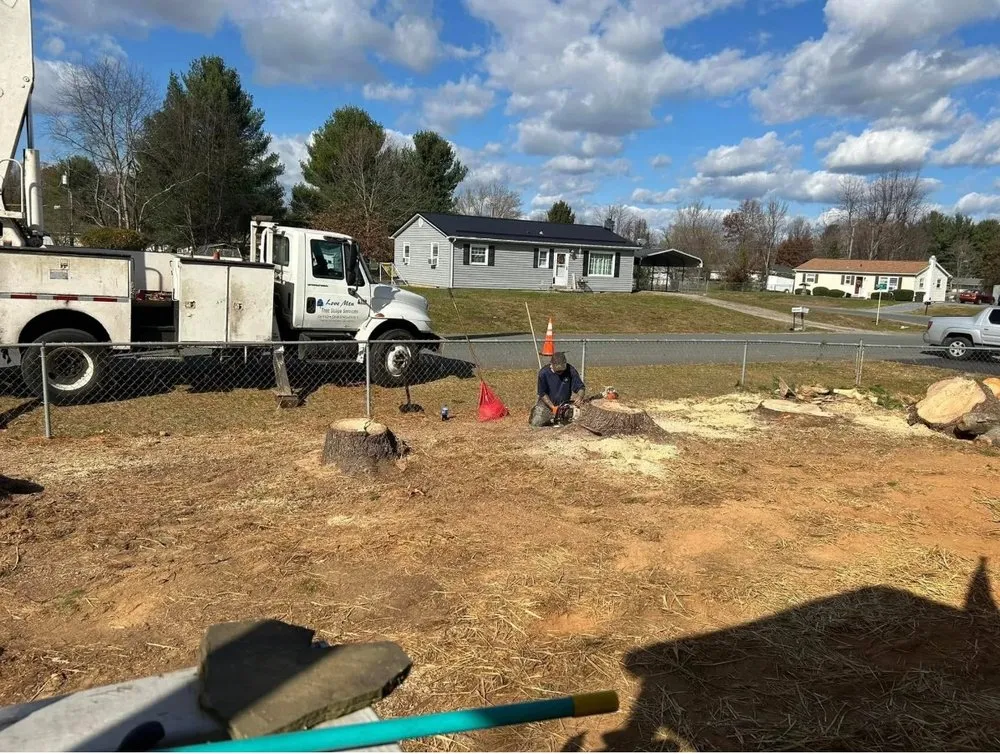 Trusted outdoor landscaping for beautiful yards across Lyndhurst, VA - Love Mtn Treescape Services