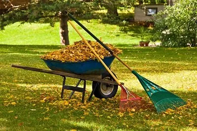 Expert landscape design for beautiful yards across Monson, MA - Love-N-Care Landscaping