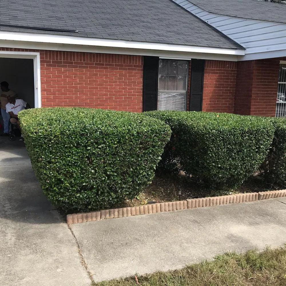 Trusted yard cleanup service in Augusta, GA - Love Of Land Lawn Care