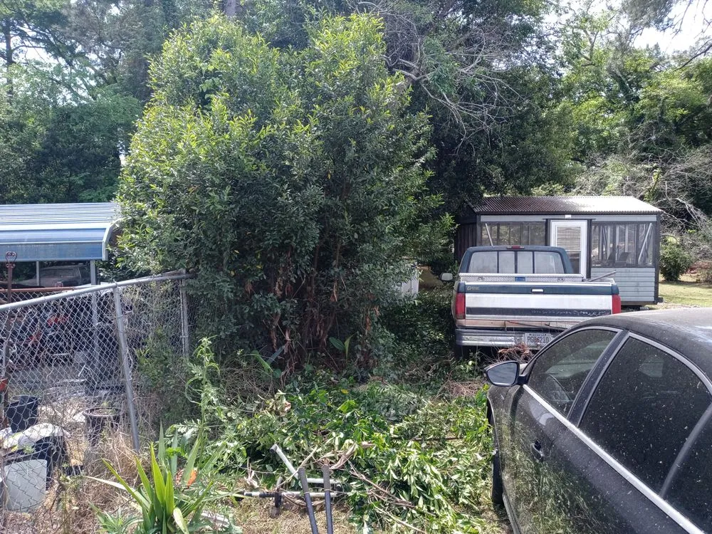 Professional yard maintenance in Augusta, GA - Love Of Land Lawn Care