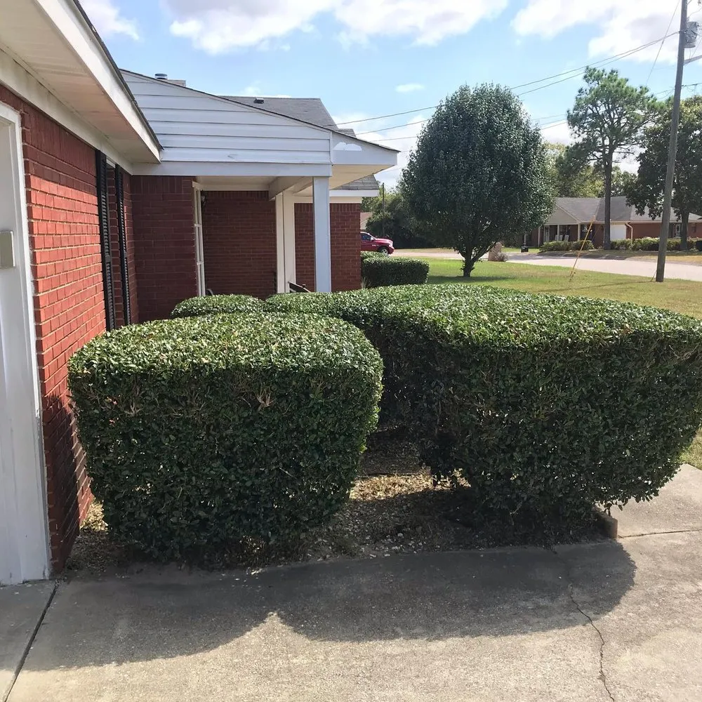 Local residential landscaping in Augusta, GA by Love Of Land Lawn Care