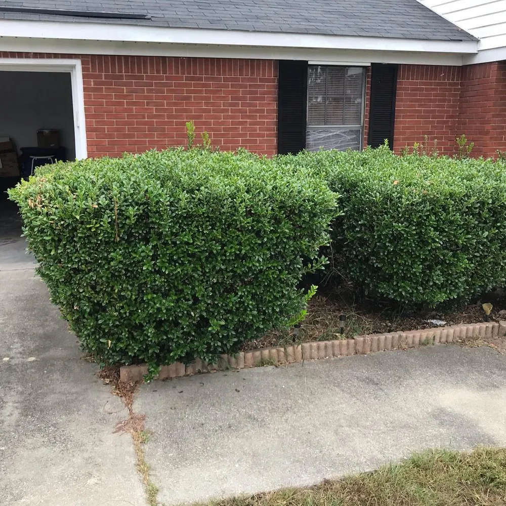 Affordable residential landscaping for beautiful yards in Augusta, GA by Love Of Land Lawn Care
