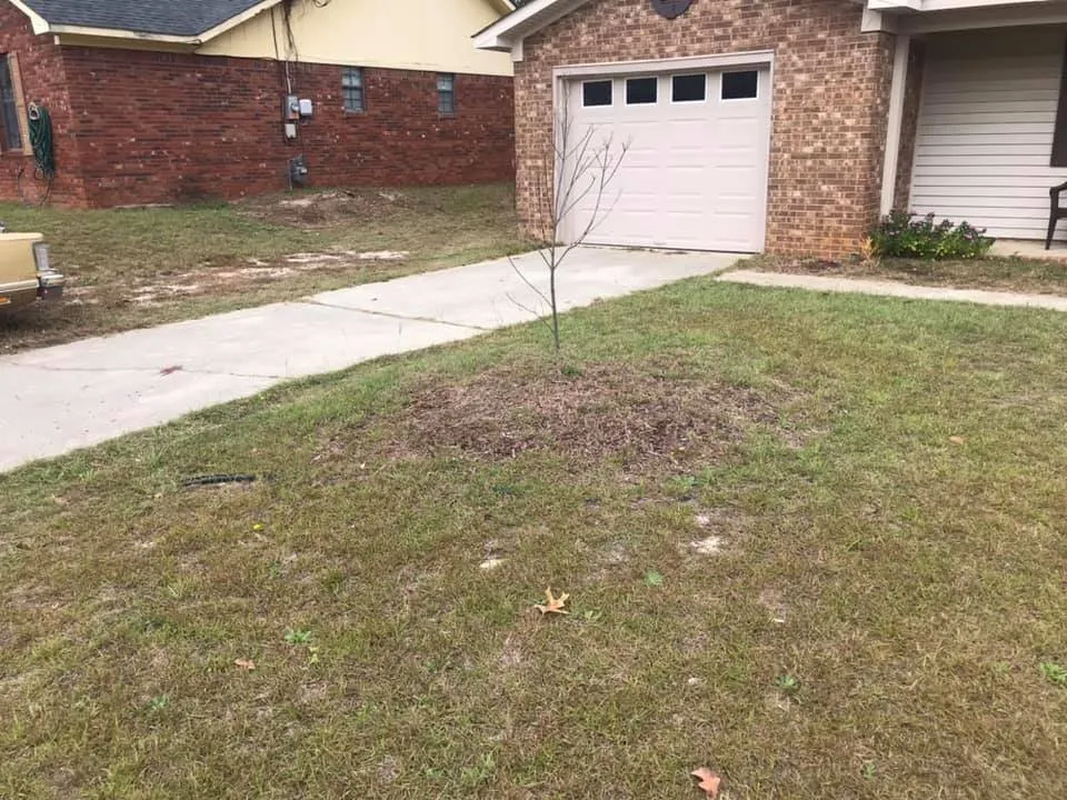 Professional landscape design experts serving Augusta, GA - Love Of Land Lawn Care