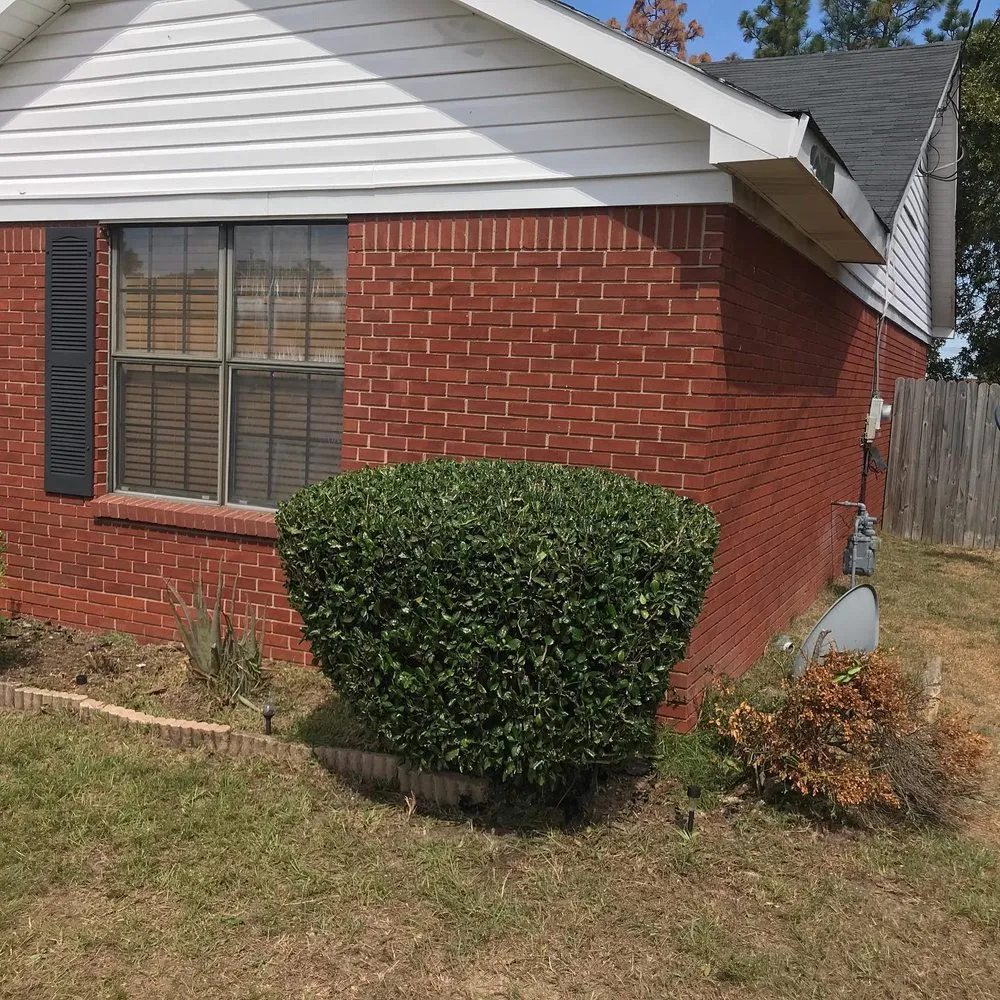 Trusted lawn mowing service in Augusta, GA - Love Of Land Lawn Care