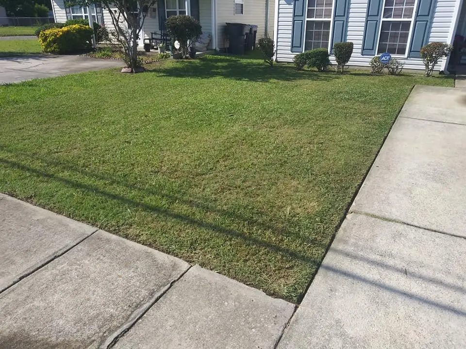 Expert landscape installation experts serving Augusta, GA - Love Of Land Lawn Care