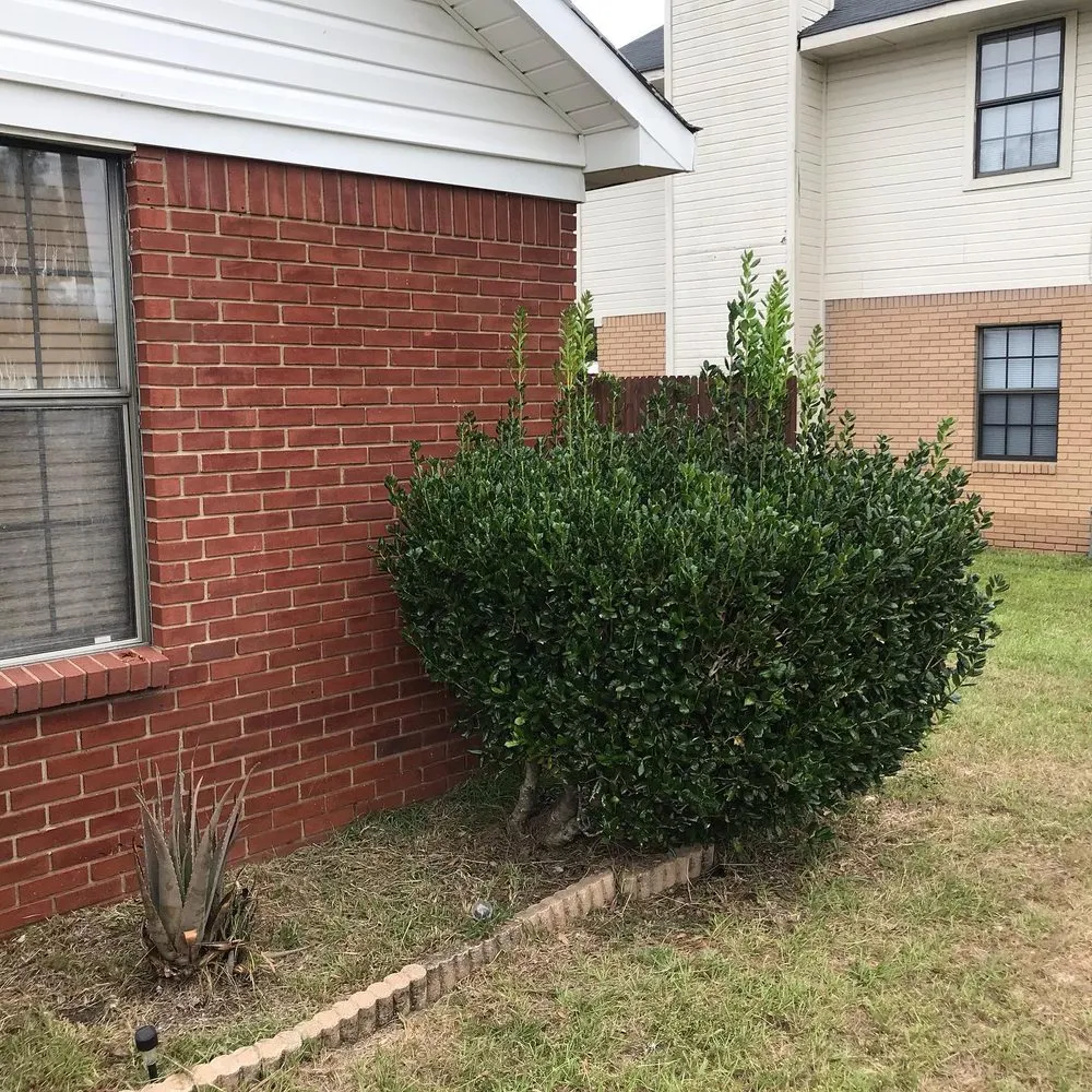 Professional landscape installation for homes in Augusta, GA by Love Of Land Lawn Care