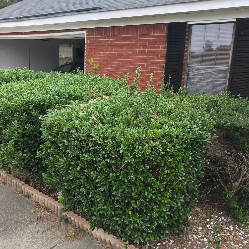 Expert garden landscaping in Augusta, GA - Love Of Land Lawn Care