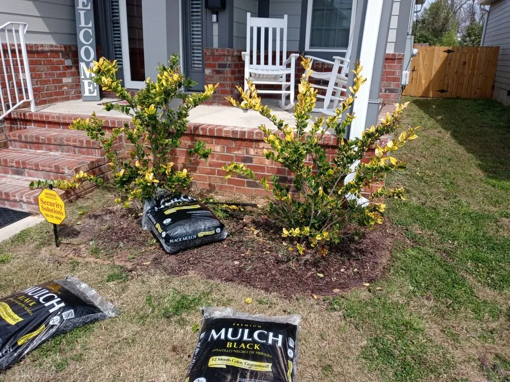 Local outdoor landscaping in Augusta, GA by Love Of Land Lawn Care