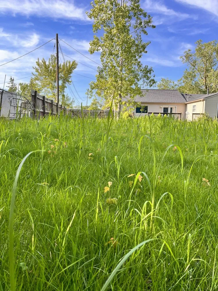 Local outdoor landscaping near you across Lincoln Park, MI - Love Of Nature Home And Landscaping