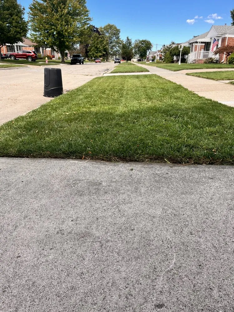 Affordable landscaping services experts serving Lincoln Park, MI - Love Of Nature Home And Landscaping