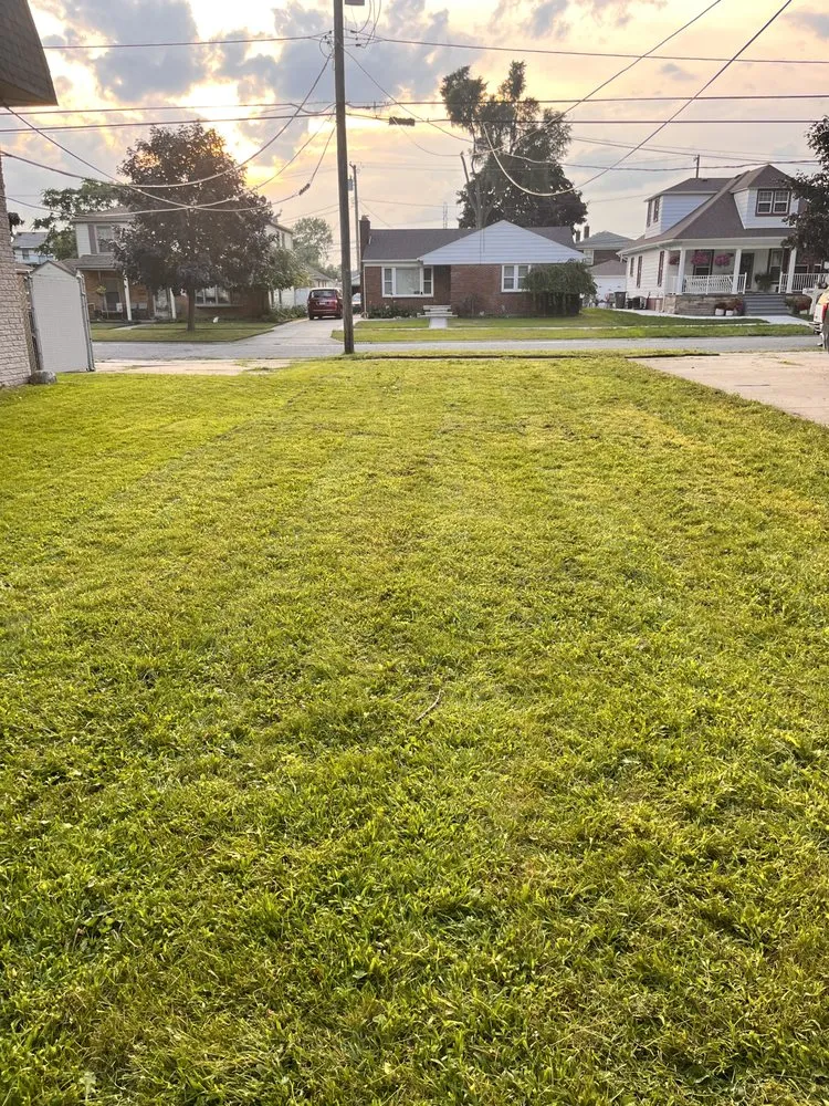 Professional garden landscaping experts serving Lincoln Park, MI - Love Of Nature Home And Landscaping