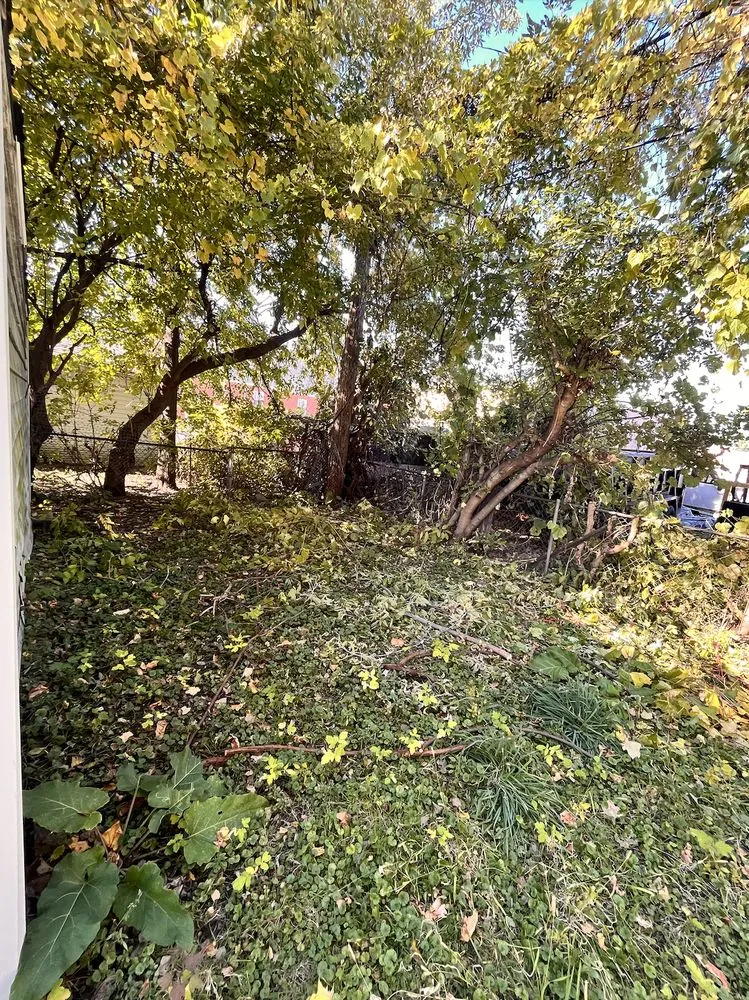 Expert landscape installation in Lincoln Park, MI - Love Of Nature Home And Landscaping