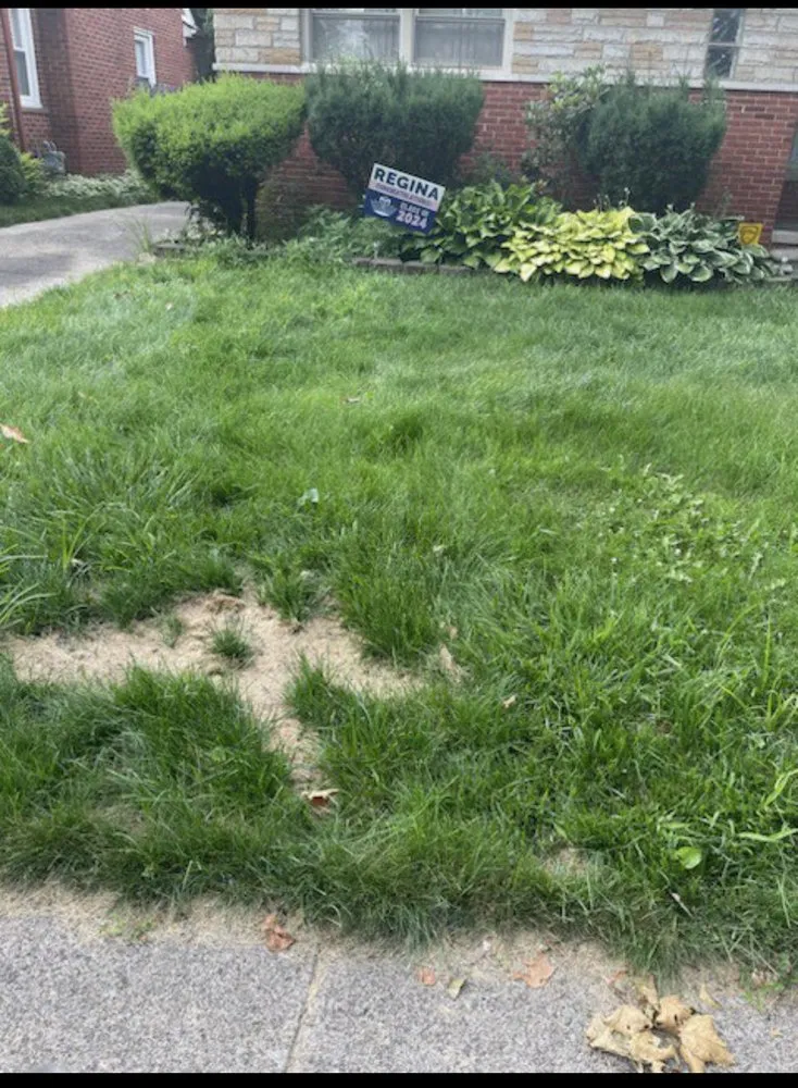 Custom residential landscaping in Lincoln Park, MI - Love Of Nature Home And Landscaping