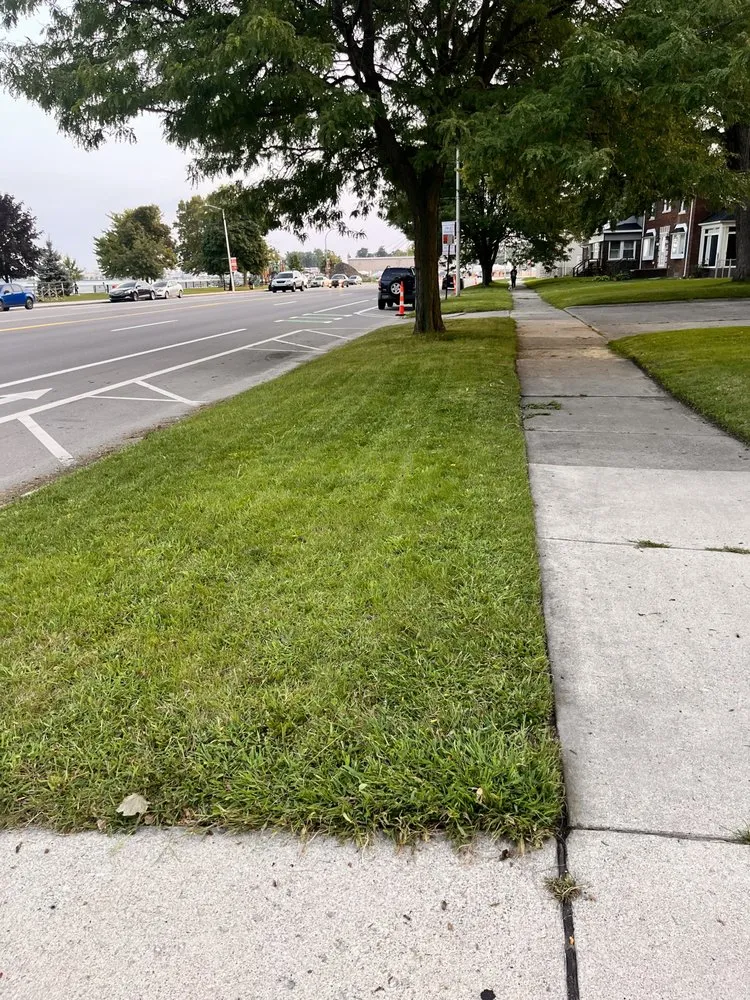 Affordable landscape design for year-round maintenance across Lincoln Park, MI - Love Of Nature Home And Landscaping