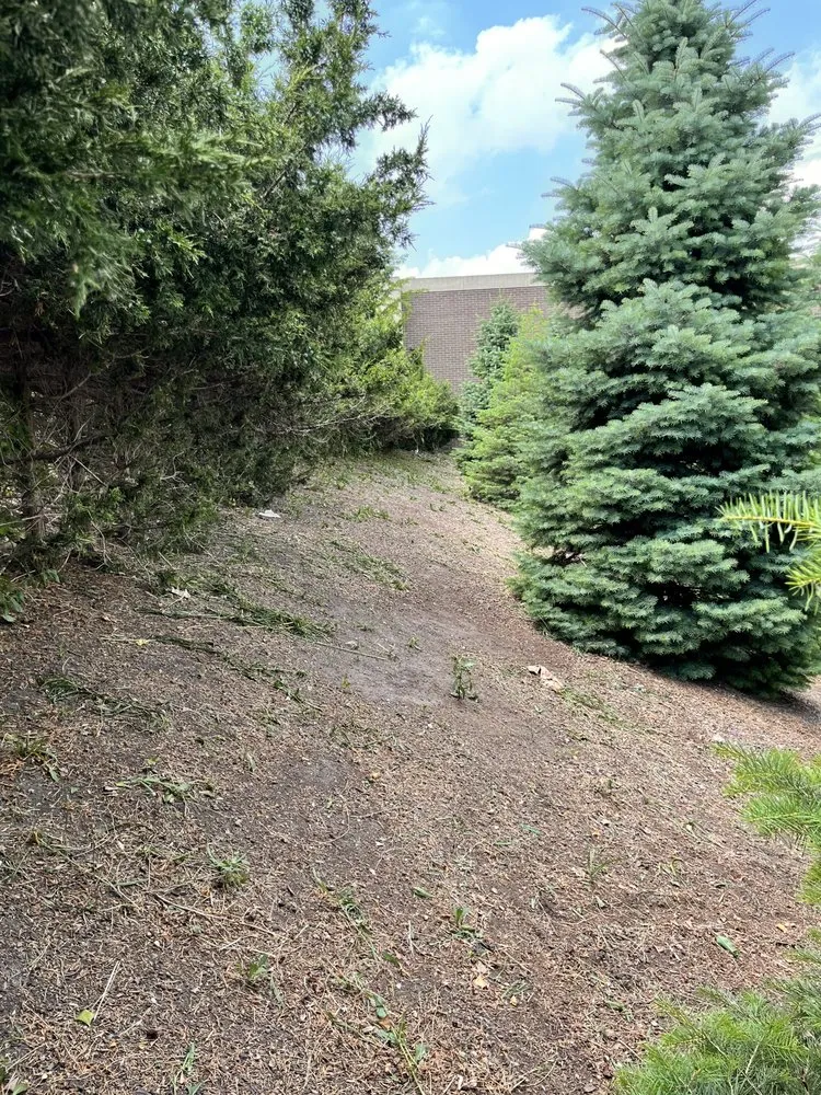 Trusted lawn mowing service experts serving Lincoln Park, MI - Love Of Nature Home And Landscaping