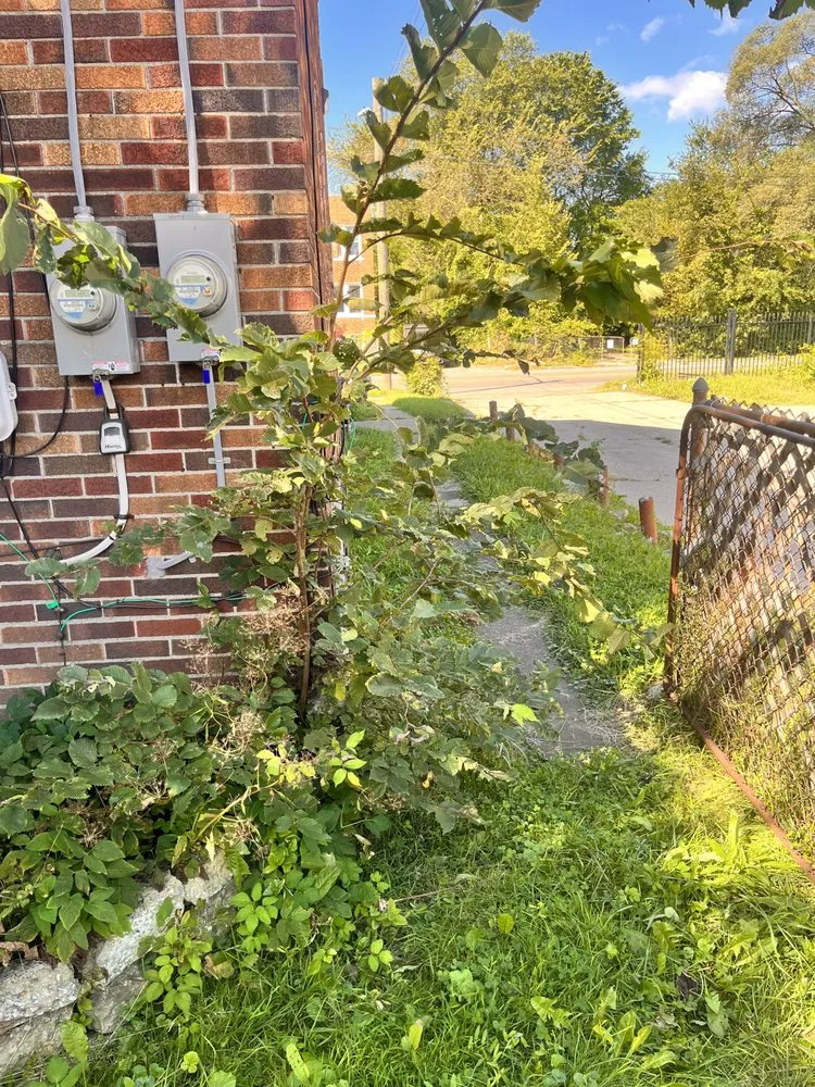 Custom yard cleanup service for residential properties in Lincoln Park, MI by Love Of Nature Home And Landscaping