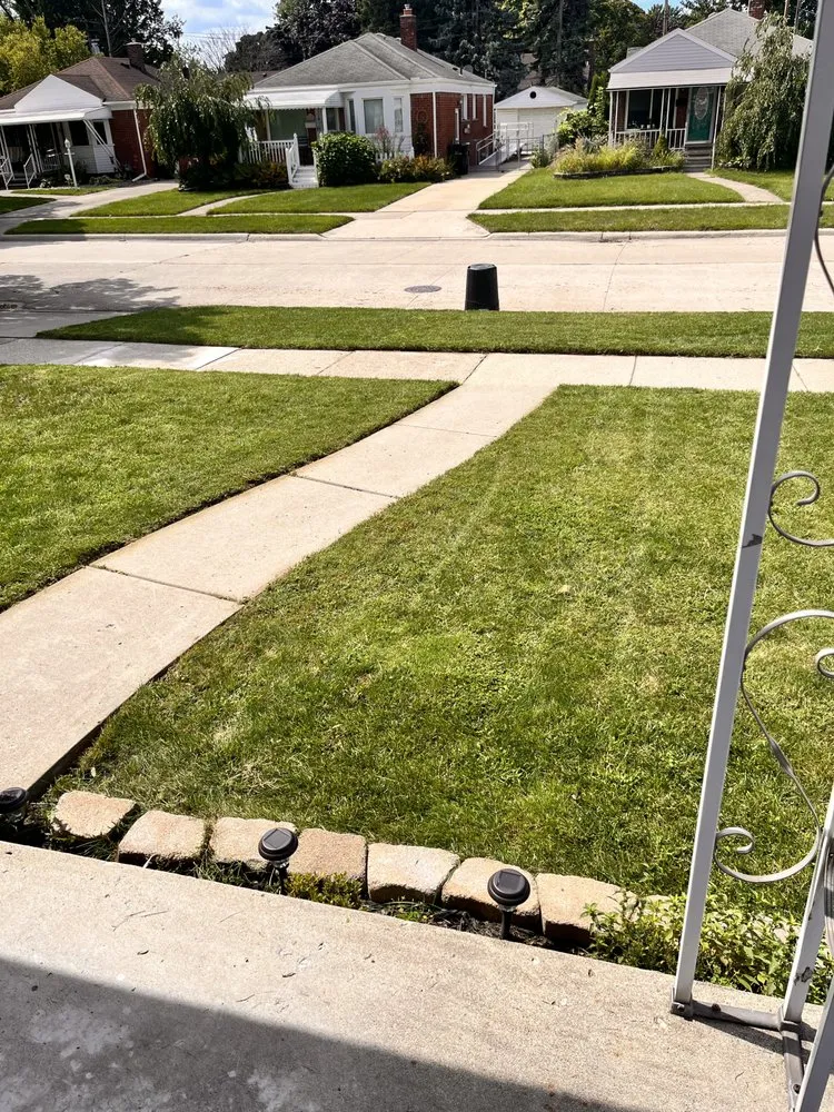 Reliable residential landscaping experts serving Lincoln Park, MI - Love Of Nature Home And Landscaping