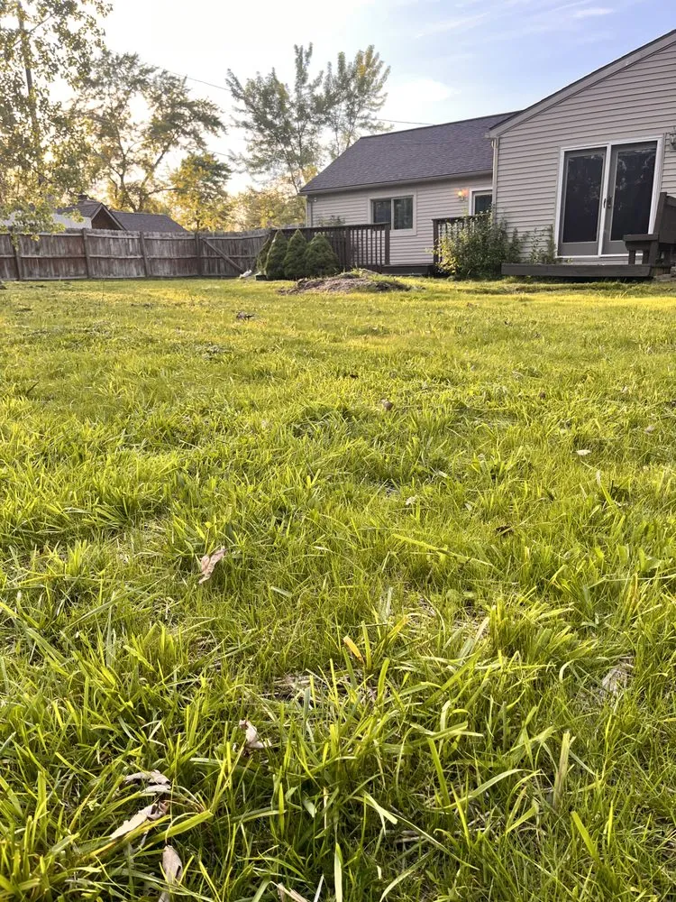 Top-rated yard cleanup service in Lincoln Park, MI by Love Of Nature Home And Landscaping