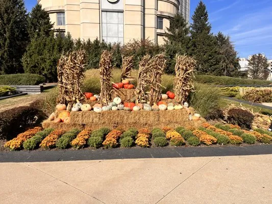 Love Of Nature Home And Landscaping