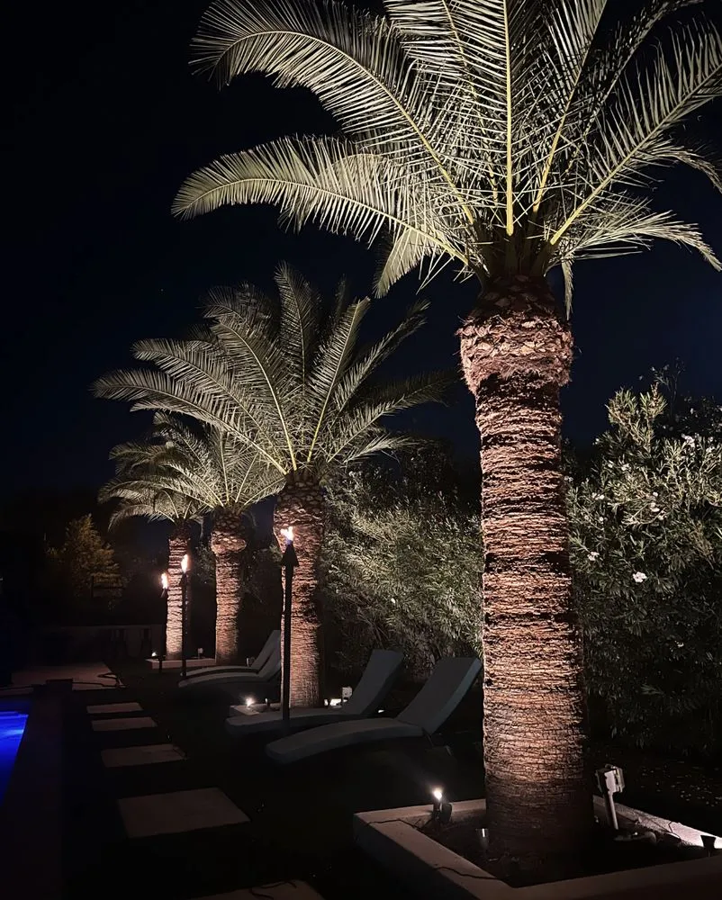 Top-rated garden landscaping in Chandler, AZ - Love Outdoor Lighting