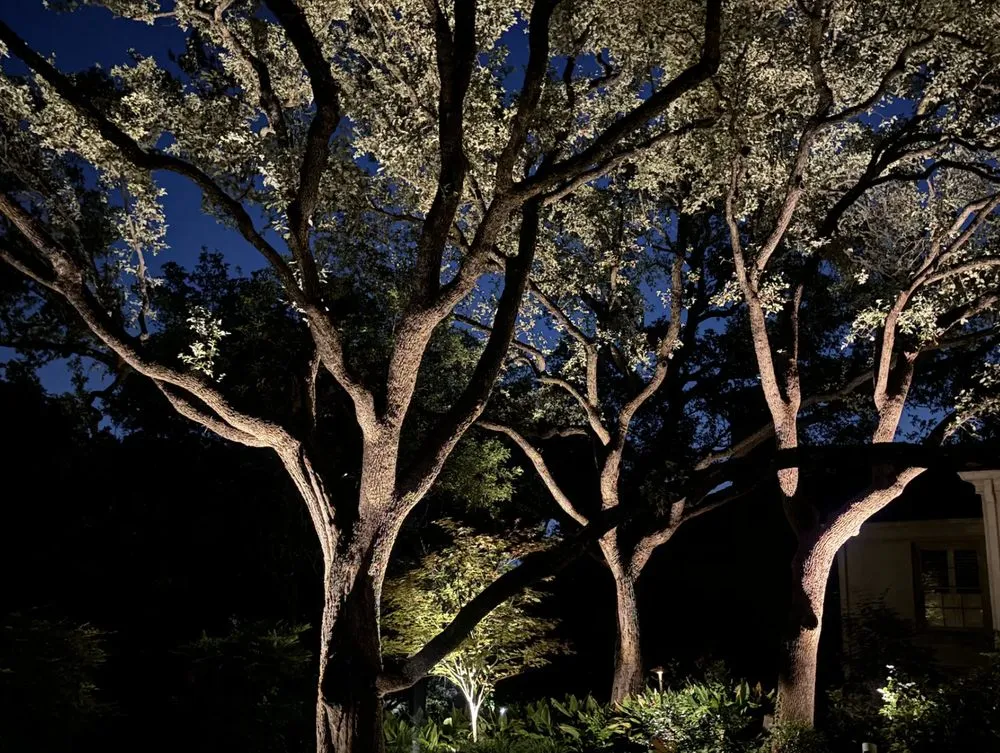 Custom garden landscaping for outdoor upgrades in Chandler, AZ by Love Outdoor Lighting