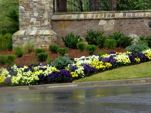 Custom lawn mowing service in Plano, TX - Love Your Lawn