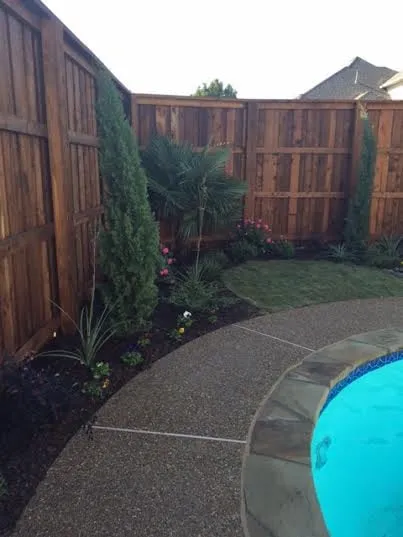 Affordable yard cleanup service for outdoor upgrades in Plano, TX by Love Your Lawn