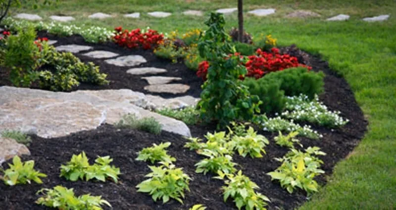 Expert landscape design for beautiful yards in Plano, TX by Love Your Lawn