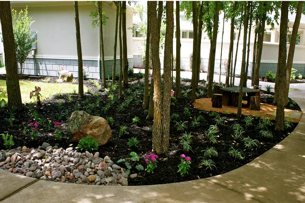 Reliable yard maintenance in Plano, TX - Love Your Lawn