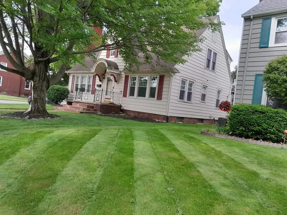Local yard maintenance for year-round maintenance across Fort Wayne, IN - Love Your Lawn Sevices