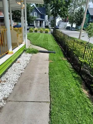 Love Your Lawn Sevices Logo