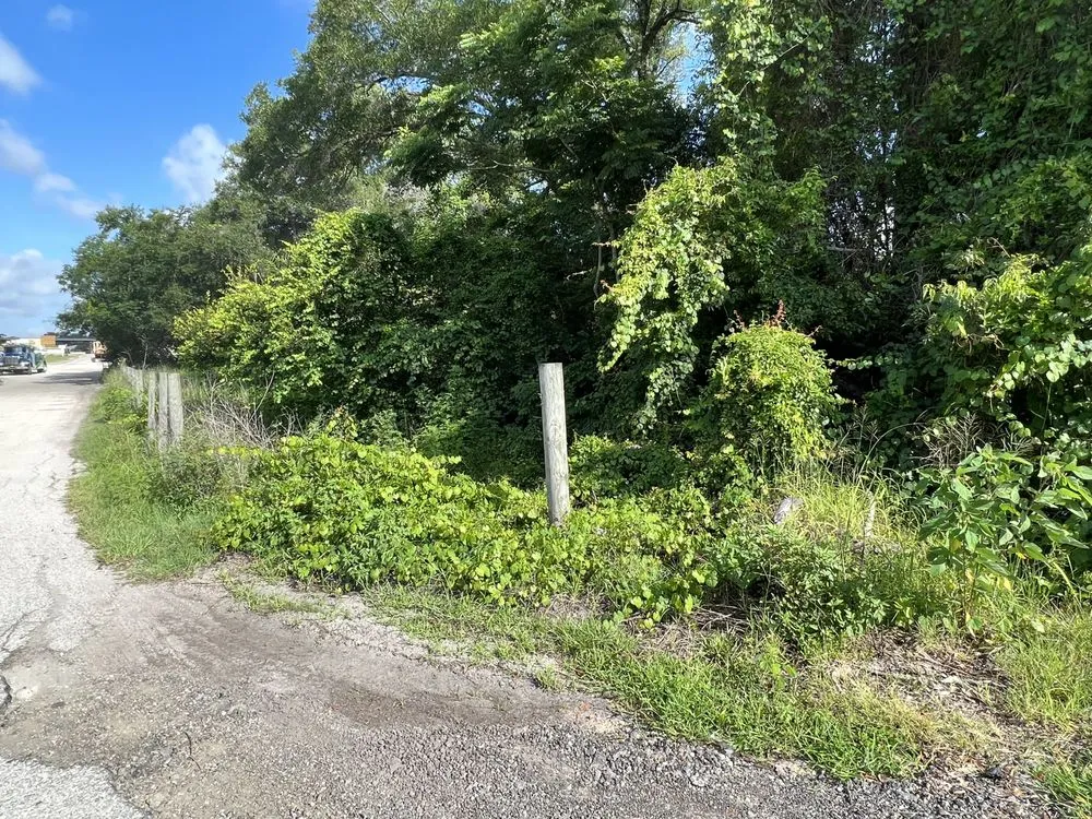 Professional landscape installation near you in Tavares, FL by Lovefamily Lawncare and Landscape