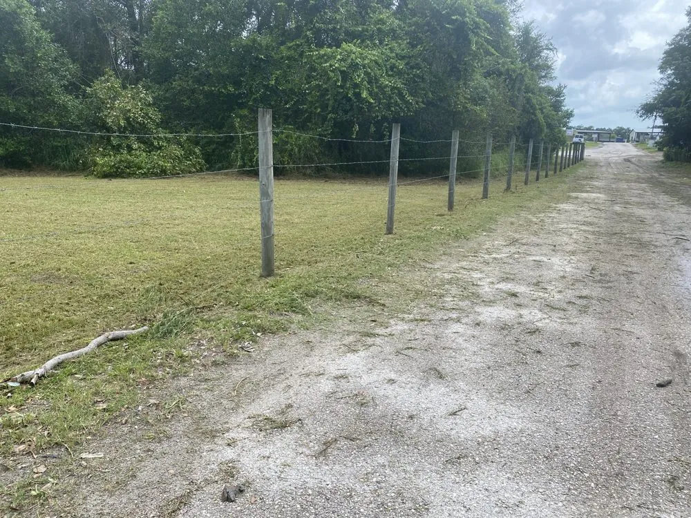 Custom yard cleanup service in Tavares, FL by Lovefamily Lawncare and Landscape