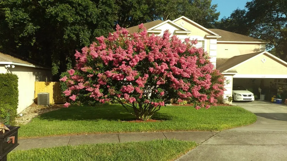 Local lawn mowing service experts serving Tavares, FL - Lovefamily Lawncare and Landscape