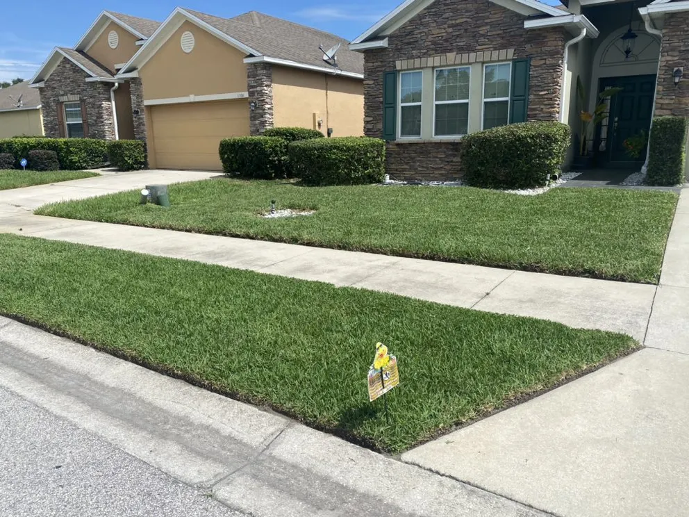 Affordable yard cleanup service experts serving Tavares, FL - Lovefamily Lawncare and Landscape