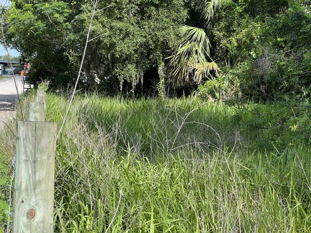 Trusted landscape design in Tavares, FL by Lovefamily Lawncare and Landscape