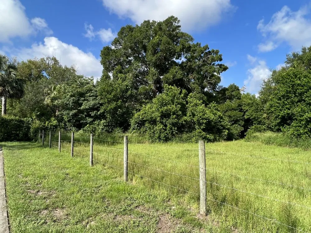 Expert lawn mowing service for year-round maintenance across Tavares, FL - Lovefamily Lawncare and Landscape